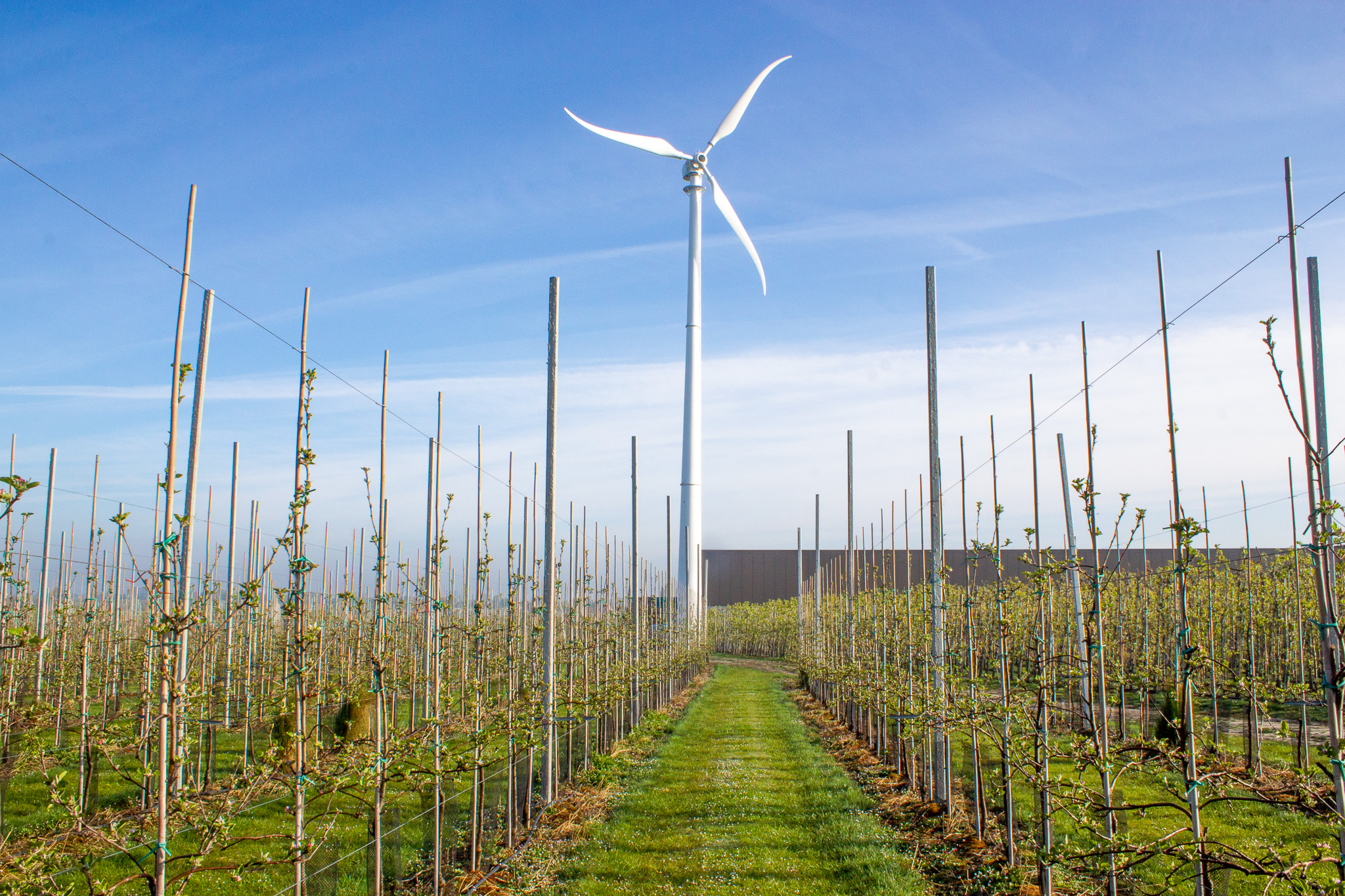 Minimale ecologische voetafdruk en duurzaam ondernemen image icon