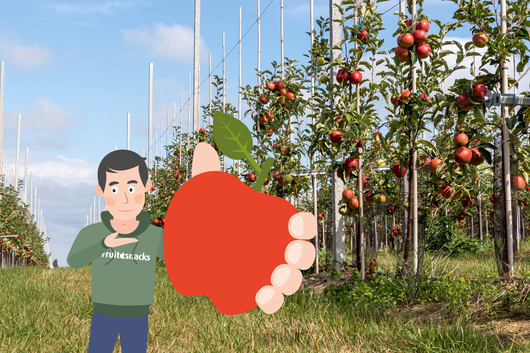 Fruit, groenten en melk op school, voor een gezonde toekomst image icon